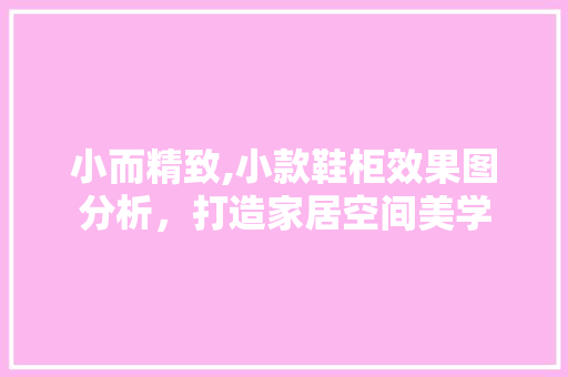 小而精致,小款鞋柜效果图分析，打造家居空间美学(漂亮造型的小型鞋柜)
