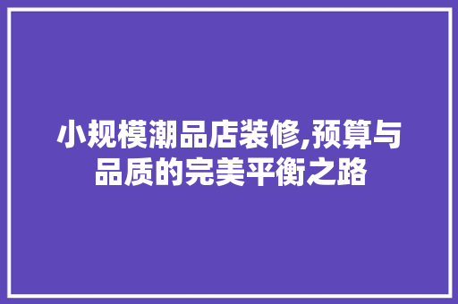 小规模潮品店装修,预算与品质的完美平衡之路