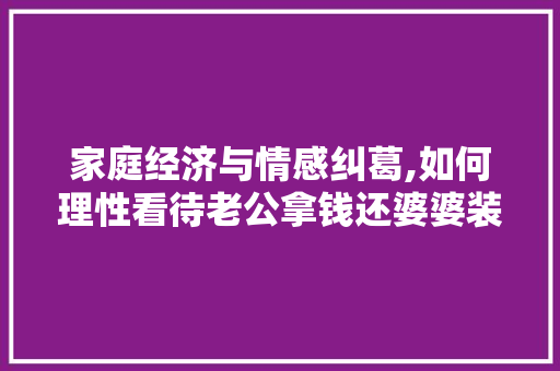 家庭经济与情感纠葛,如何理性看待老公拿钱还婆婆装修款(老公赚的钱给婆婆还账)