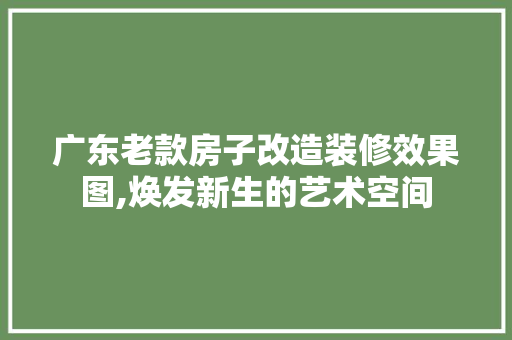 广东老款房子改造装修效果图,焕发新生的艺术空间(广东旧房改造)