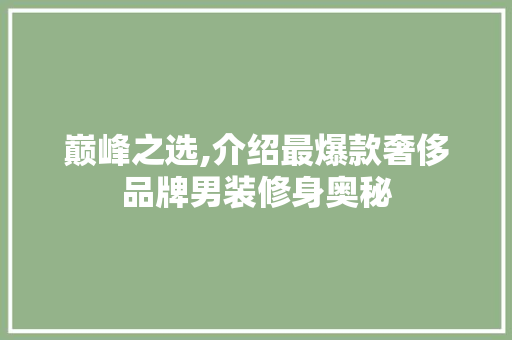 巅峰之选,介绍最爆款奢侈品牌男装修身奥秘