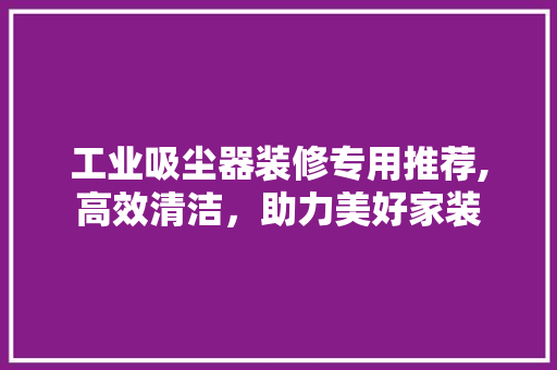 工业吸尘器装修专用推荐,高效清洁，助力美好家装 工业吸尘器装修专用推荐,高效清洁，助力美好家装 MI家装修经验