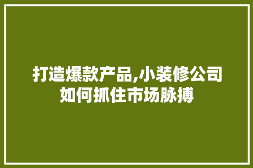 打造爆款产品,小装修公司如何抓住市场脉搏