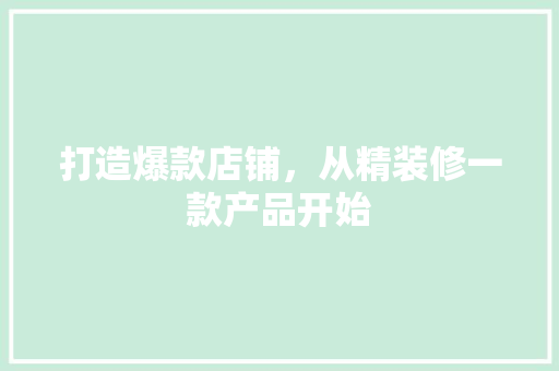 打造爆款店铺，从精装修一款产品开始