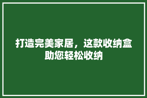 打造完美家居，这款收纳盒助您轻松收纳