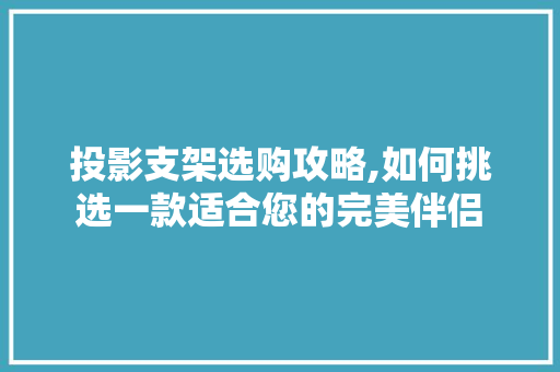 投影支架选购攻略,如何挑选一款适合您的完美伴侣