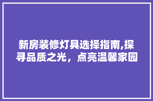 新房装修灯具选择指南,探寻品质之光，点亮温馨家园(新房装修灯具怎么选择)