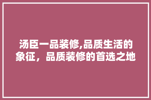 汤臣一品装修,品质生活的象征，品质装修的首选之地