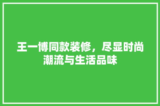 王一博同款装修，尽显时尚潮流与生活品味(王一博装修房子)