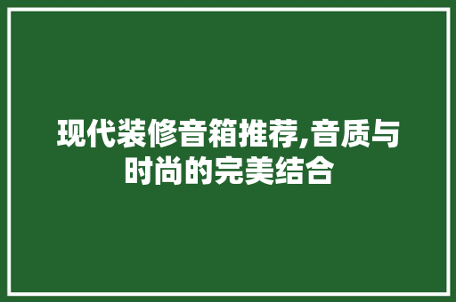 现代装修音箱推荐,音质与时尚的完美结合(装修音响设计)