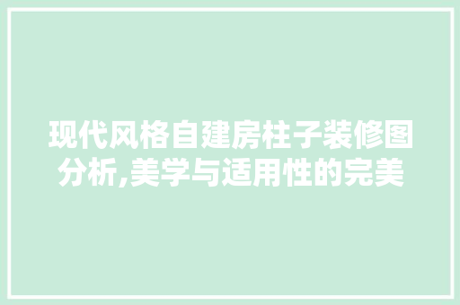 现代风格自建房柱子装修图分析,美学与适用性的完美结合(自建房柱子装饰)