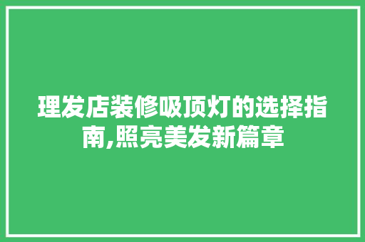 理发店装修吸顶灯的选择指南,照亮美发新篇章