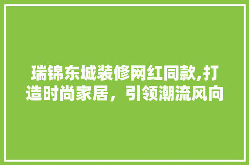 瑞锦东城装修网红同款,打造时尚家居，引领潮流风向标