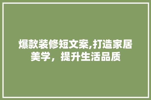 爆款装修短文案,打造家居美学，提升生活品质(家装装修文案)