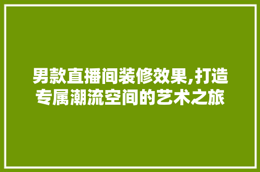 男款直播间装修效果,打造专属潮流空间的艺术之旅(男装直播间装修图)