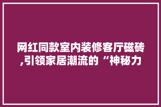 网红同款室内装修客厅磁砖,引领家居潮流的“神秘力量”(2020最流行的客厅瓷砖效果)