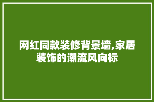 网红同款装修背景墙,家居装饰的潮流风向标