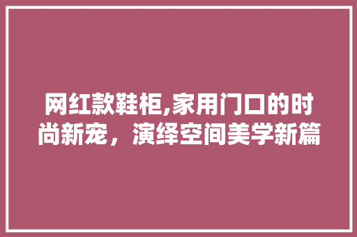 网红款鞋柜,家用门口的时尚新宠，演绎空间美学新篇章(网红鞋柜子)