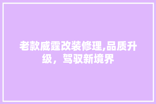 老款威霆改装修理,品质升级，驾驭新境界(老款威霆改装新款)