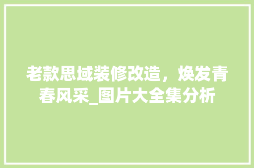 老款思域装修改造，焕发青春风采_图片大全集分析(老款思域改装案例)