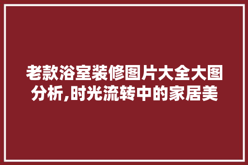 老款浴室装修图片大全大图分析,时光流转中的家居美学