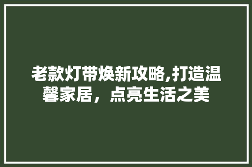 老款灯带焕新攻略,打造温馨家居，点亮生活之美(老式灯带如何更新)