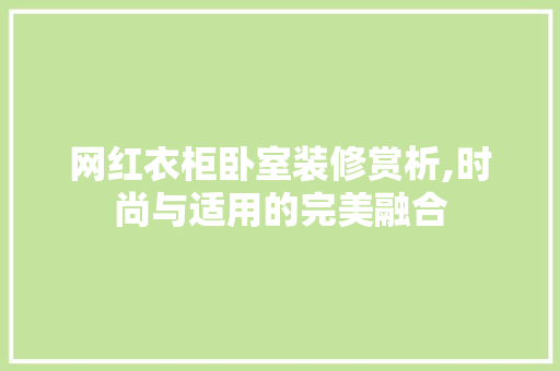 网红衣柜卧室装修赏析,时尚与适用的完美融合(卧室衣柜视频大全)