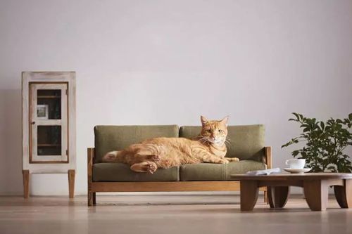 家里养猫狗,适合选择什么样的家具?因为宠物会磨爪子破坏家具「房屋装修家居挑选技巧和方法」 MI家公司推荐 家里养猫狗,适合选择什么样的家具?因为宠物会磨爪子破坏家具「房屋装修家居挑选技巧和方法」 家里养猫狗,适合选择什么样的家具?因为宠物会磨爪子破坏家具「房屋装修家居挑选技巧和方法」 MI家公司推荐