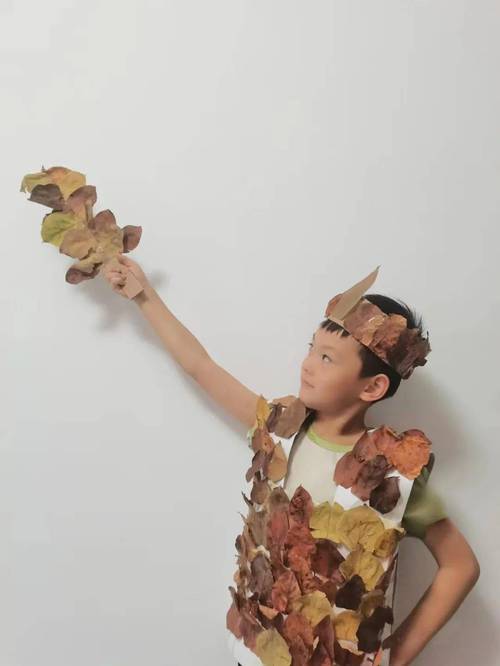 服饰装饰,品味生活的艺术与科学 MI家装修经验 服饰装饰,品味生活的艺术与科学 服饰装饰,品味生活的艺术与科学 MI家装修经验