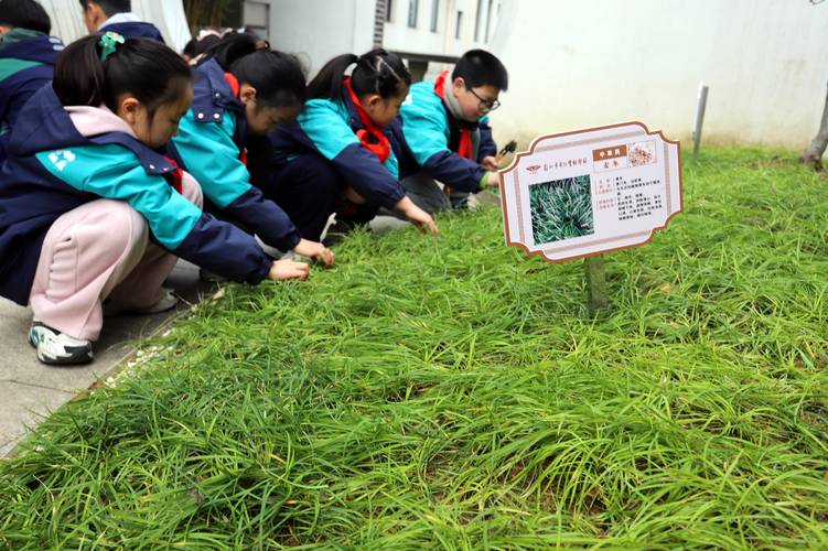 苏州平江超市焕新装修,打造绿色、智能的购物新体验 MI家装修经验 苏州平江超市焕新装修,打造绿色、智能的购物新体验 苏州平江超市焕新装修,打造绿色、智能的购物新体验 MI家装修经验